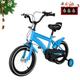 WSIKGHU Children's Bicycle 14 Inch Kids Bike Beginner Bike with Training Wheel Scarbon Steel Kids Bike Height Adjustable Kids Bike with Fenders for Kids 3-6 Years Old (blue)