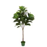 Faux 6ft Fiddle-Leaf Fig Tree - 68"