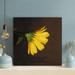 Latitude Run® Yellow-Petaled Flower 3 - 1 Piece Rectangle Graphic Art Print On Wrapped Canvas in Black/Yellow | 16 H x 16 W x 2 D in | Wayfair