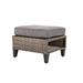 Lark Manor™ Ake Ottoman w/ Cushion Wicker/Rattan in Gray | 12 H x 22.2 W x 20.5 D in | Outdoor Furniture | Wayfair 590212604F83440AB96E24FEFF0ABE7F