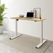 FlexiSpot Electric Home Office Height Adjustable Standing Desk Whole Piece Desktop Computer Desk 2-Button Controller