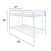 ACME Thomas Bunk Bed (Twin/Twin) in White