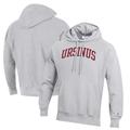 Men's Champion Gray Ursinus Bears Reverse Weave Pullover Hoodie