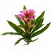 Bay Isle Home™ Artificial Flower Stems Polyester/Faux Silk/Plastic/Fabric in Red/Pink | 15 H x 8 W x 8 D in | Wayfair