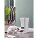 DOGNESS Automated Feeder Plastic (affordable option) | 14 H x 8.27 W x 14.5 D in | Wayfair 843775116589