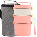 Prep & Savour Becerril Stackable Stainless Steel Lunch Box Stainless Steel in Gray/Pink | 9.8 H x 5.7 W x 5.7 D in | Wayfair