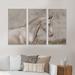 Ebern Designs Portrait of a Galloping White Horse III - Traditional Framed Canvas Wall Art Set Of 3 Canvas, Wood in Brown | 32 H x 48 W in | Wayfair