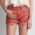 American Eagle Outfitters Shorts | American Eagle Pink Embroidered Hi-Rise Festival Shorts | Color: Pink | Size: 2