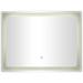 Jena Shiny Clear 31 1/2" x 23 1/2" Rectangle LED Wall Mirror