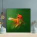 Rosecliff Heights An Orange Fish w/ Green Background - 1 Piece Square Graphic Art Print On Wrapped Canvas in Green/Orange | Wayfair