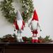 The Holiday Aisle® Polyester Plush 6 Piece Gnome Skier Set | 14.25 H x 7.5 W x 7.25 D in | Wayfair C03C8A70615D462FA7A32E269C846E27