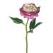 Primrue Artificial Peony Rose Stem in Pink/Indigo | 13 H x 8 W x 8 D in | Wayfair BC29ECF98A144C539B8B1FCBEBDE8850