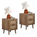 George Oliver 21.7" Delynne Tall 2 - Drawer Nightstand Set Of 2 Wood in Brown | 21.7 H x 15.7 W x 15.7 D in | Wayfair