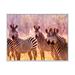 Ebern Designs African Zebra Family Portrait - Photograph on Canvas Metal in Black/Indigo/White | 16 H x 32 W x 1 D in | Wayfair