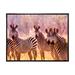 Ebern Designs African Zebra Family Portrait - Photograph on Canvas in Black/Indigo/White | 8 H x 12 W x 1 D in | Wayfair