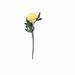 Primrue 25" Artificial Peony Stem in Yellow | 25 H x 10 W x 4 D in | Wayfair 6DB0D317BDDC43699365688506217305