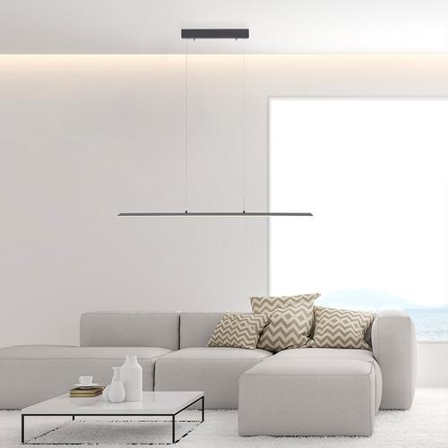Paul Neuhaus Pure-Lite LED Pendelleuchte mit Dimmer und CCT, 8375-13,