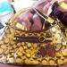 Coach Bags | Coach Poppy 2010 Collection Bag | Color: Pink/Purple | Size: Os