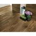 EP Decking 7" x 48" x 6mm SPC Luxury Vinyl Plank in Gray/Brown | 0.2362 H in | Wayfair W111