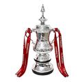 qichemaoy Resin Football Champions Trophy Model Fa Cup Trophy Replica Plating Silver Men and Women Fans Collect Home Decoration souvenirs Trophies,32cm