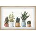 Bungalow Rose "Ultimate Succulent Collection" Framed Print Paper in Blue/Brown/Green | 16 H x 24 W x 1.5 D in | Wayfair