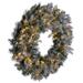 Primrue Frosted Douglas Fir Pre-Lit 24" Lighted PVC Wreath in Green/White | 24 H x 24 W x 3 D in | Wayfair 39D6468B1A584F8892276D3064756ED6