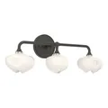 Hubbardton Forge Ume 3-Light Curved Arm Vanity Light - 201342-1023