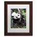 Trademark Fine Art "Giant Panda IV" by Philippe Hugonnard Framed Photographic Print Canvas, Wood in Green | 20 H x 16 W x 0.5 D in | Wayfair