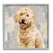 Stupell Industries Smiling Labradoodle Dog Patchwork Grey Beige Pattern Wood in Brown | 12 H x 12 W x 1.5 D in | Wayfair ac-155_gff_12x12