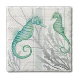 CounterArt Beach Therapy Seahorses 1 Pack Single Absorbent Stone Coaster Stoneware, Glass in Blue | 0.25 H x 4 W x 0.25 D in | Wayfair 02-02626