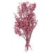 Vickerman 686188 - 4" Peony Sola Flower on 12" Stem 12/bg (H7SFS001) Dried and Preserved Flowering Plants