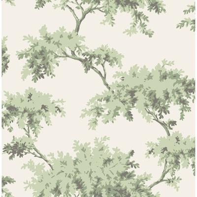 NuWallpaper Sage Alder Peel and Stick Wallpaper