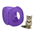 Tente pliable pour animaux de compagnie lit pour chats et chiots maison de jouet pour chat accent