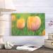August Grove® Tulip Dordogne Photographic Print on Wrapped Canvas in White | 24 H x 36 W x 2 D in | Wayfair AGGR5496 39389786