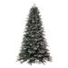 Vickerman 692745 - 6.5' x 50" Artificial Frosted Douglas Fir Unlit Christmas Tree (K224665)