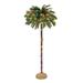 Puleo International 6 ft. Pre-lit Palm Tree