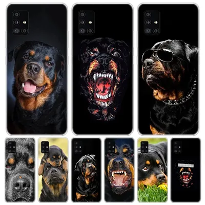 Coque de téléphone avec motif de chien Rottweiler étui pour Samsung Galaxy A50 A70 A40 A30 A20S A10