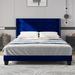 Mercer41 Tufted Low Profile Platform Bed Wood & Upholstered/ in Blue | 43.7 H x 61.8 W in | Wayfair 3708C7DC8038415A88015C9C3C683E62