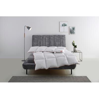 Daunenbettdecke RIBECO "Richard, Bettdecken für Sommer oder Winter, Made in Germany", weiß, B:200cm L:200cm, Bezug: 100% Baumwolle. Füllung: 90% Entendaune, 10% Entenfeder, Bettdecken, Bettdecke 135x200 cm, 155x220 cm und weitere Größen, Decke Image