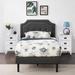 Trent Austin Design® Miramontes Bedroom Set Upholstered/Metal in White | Twin | Wayfair 137AD9008096485FA232205A9D13CC46