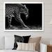 Ebern Designs Leopard In Black & White - Traditional Canvas Wall Decor Canvas, Cotton in Black/White | 12 H x 20 W x 1 D in | Wayfair