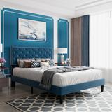 House of Hampton® Divino Tufted Upholstered Platform Bed Upholstered, Wood in Blue | 49.2 H x 61.8 W x 81.3 D in | Wayfair