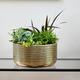 Ivyline Solis Embossed Bowl - Gold - UV Stable, Hand Finished, Stylish & Waterproof Decorative Indoor Premium Quality Metal Flower Pot - H15cm x D30cm