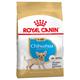 3x1,5kg Chihuahua Puppy Chiot Royal Canin - Croquettes pour chien