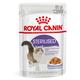 96x85g Sterilised en gelée Royal Canin - Pâtée pour chat