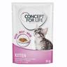 12x85g Maine Coon Kitten + sachet Kitten en gelée Concept for Life - pour chat