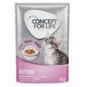 12x85g Maine Coon Kitten + sachet Kitten en sauce Concept for Life - pour chat