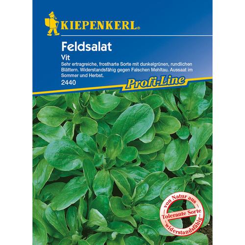 Feldsalat Vit - Gemüsesamen - Kiepenkerl