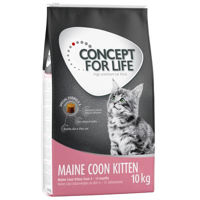10kg Concept for Life Maine Coon Kitten - Croquettes pour chaton