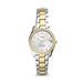 Women's Fossil Silver ECSU Vikings Scarlette Mini Two-Tone Stainless Steel Watch